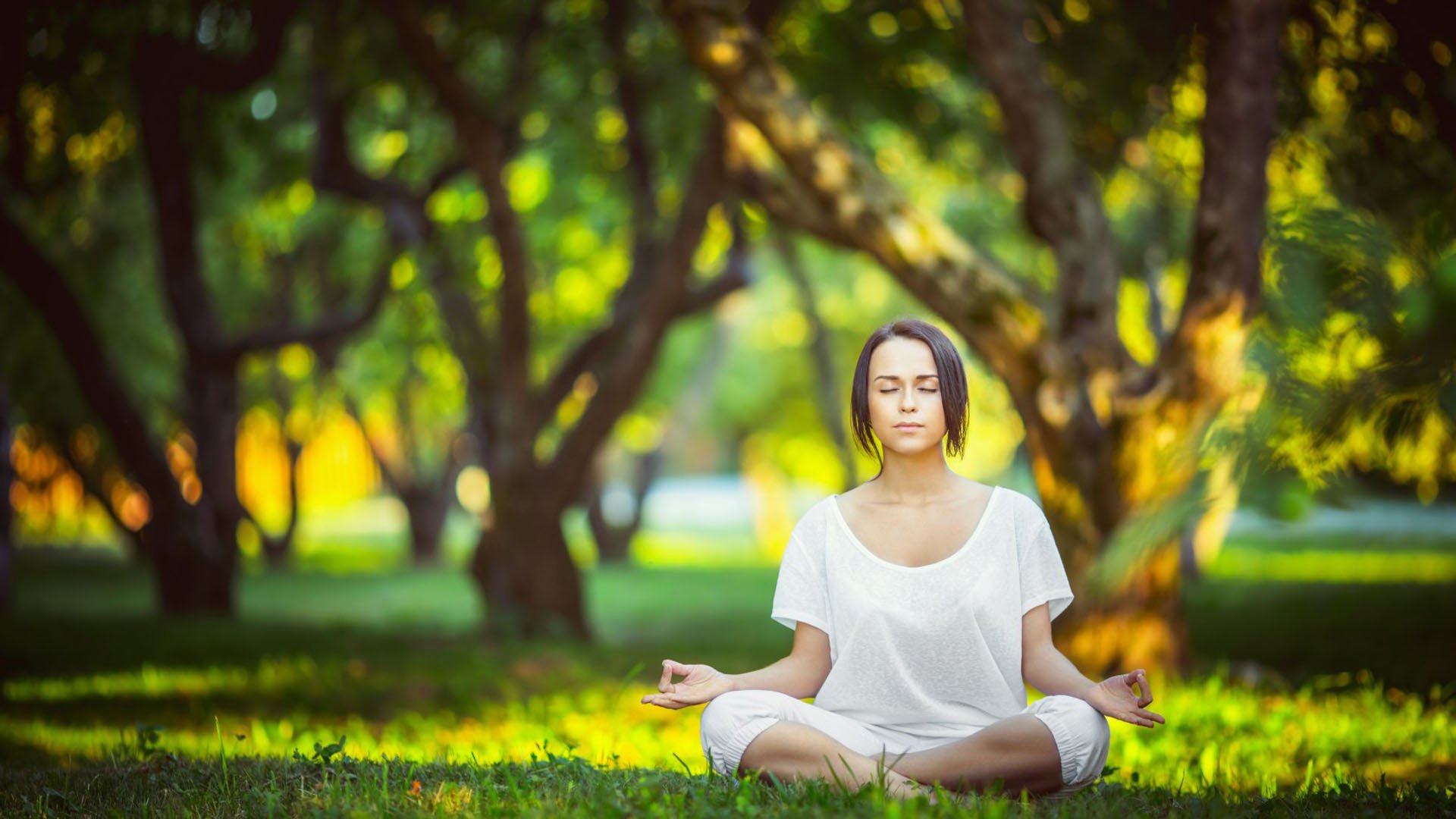 冰火两重天,2026世界杯出线战,加拿大惊天逆转挪威,齐耶赫独造三球闪耀全场